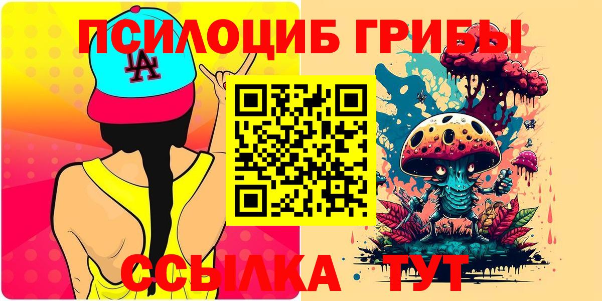 Маркс  Галлюциногенные грибы Psilocybine cubensis  Вход с VPN  дарнет шоп  Псилоцибиновые грибы прущие грибы 