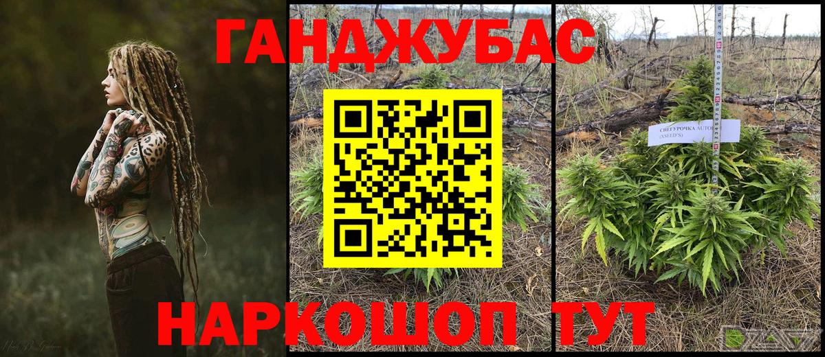Шишки марихуана гибрид Маркс
